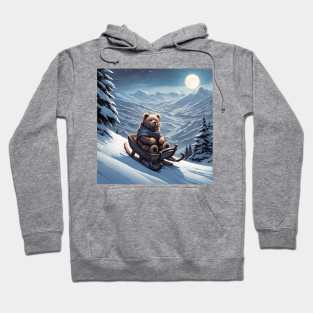 Teddy on a sledge riding down a hill in the snow Hoodie